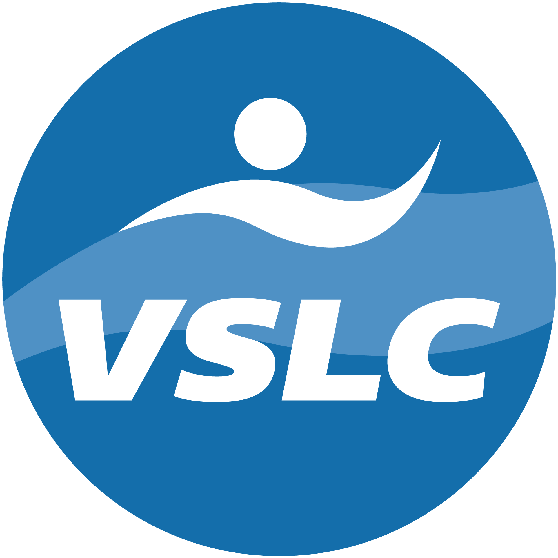 Winner small image - The Vietnam Swimming & Lifesaving Company